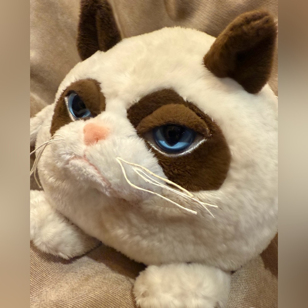 ๐พ Grumpy Cat - Plush Toy - Picture 3 of 5